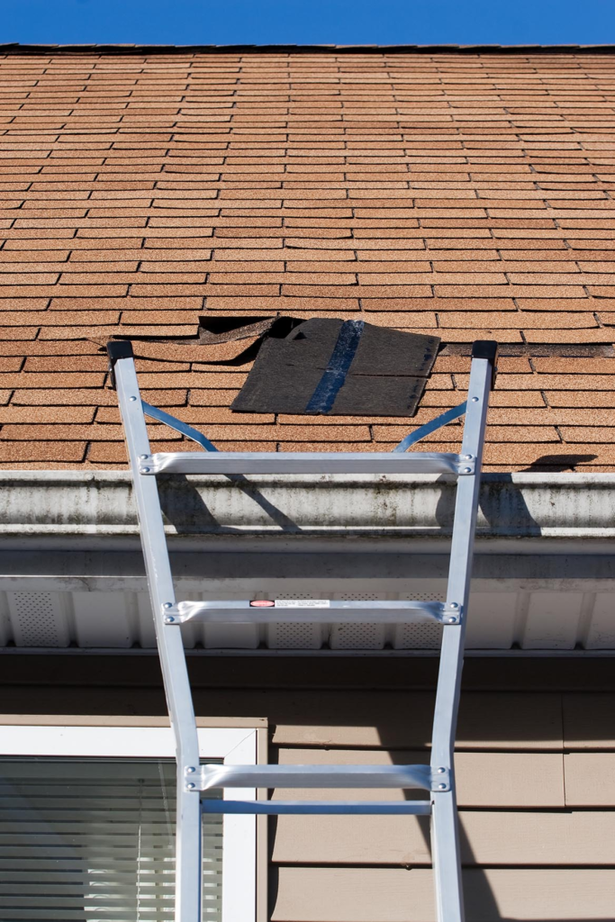 roof repair